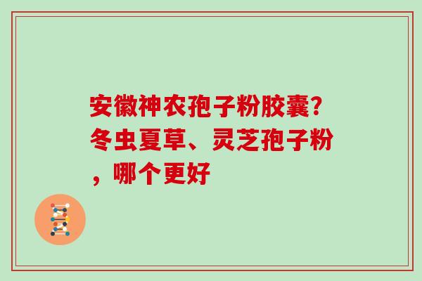 安徽神农孢子粉胶囊？冬虫夏草、灵芝孢子粉，哪个更好