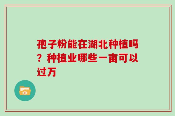 孢子粉能在湖北种植吗？种植业哪些一亩可以过万