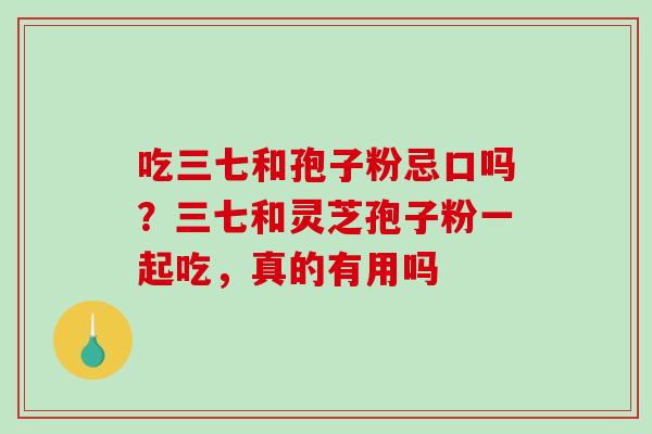 吃三七和孢子粉忌口吗?三七和灵芝孢子粉一起吃,真的有用吗 吃三七和孢子粉忌口吗?三七和灵芝孢子粉一起吃,真的有用吗