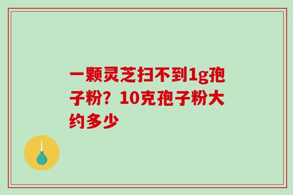 一颗灵芝扫不到1g孢子粉?10克孢子粉大约多少 一颗灵芝扫不到1g孢子粉?10克孢子粉大约多少