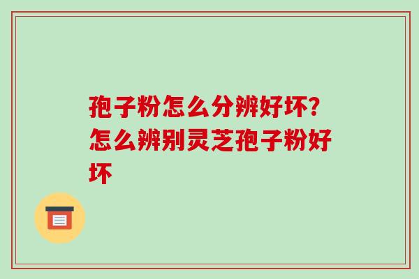 孢子粉怎么分辨好坏?怎么辨别灵芝孢子粉好坏 孢子粉怎么分辨好坏?怎么辨别灵芝孢子粉好坏
