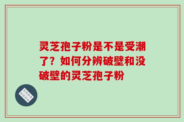 灵芝孢子粉是不是受潮了?如何分辨破壁和没破壁的灵芝孢子粉 灵芝孢子粉是不是受潮了?如何分辨破壁和没破壁的灵芝孢子粉