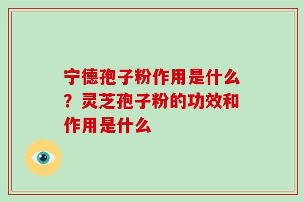宁德孢子粉作用是什么？灵芝孢子粉的功效和作用是什么