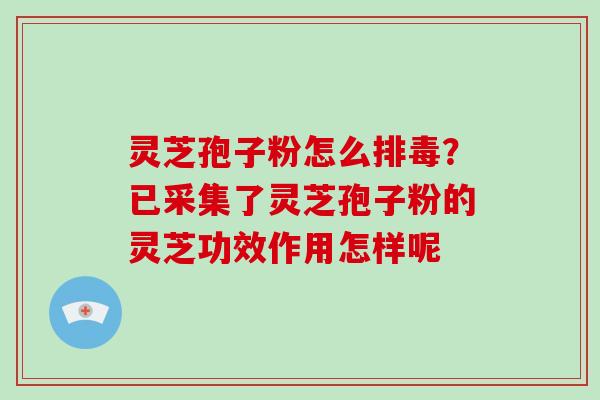 灵芝孢子粉怎么?已采集了灵芝孢子粉的灵芝功效作用怎样呢 灵芝孢子粉怎么?已采集了灵芝孢子粉的灵芝功效作用怎样呢
