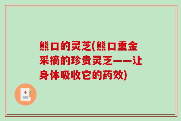 熊口的灵芝(熊口重金采摘的珍贵灵芝——让身体吸收它的药效)