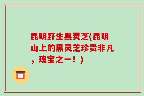 昆明野生黑灵芝(昆明山上的黑灵芝珍贵非凡，瑰宝之一！)