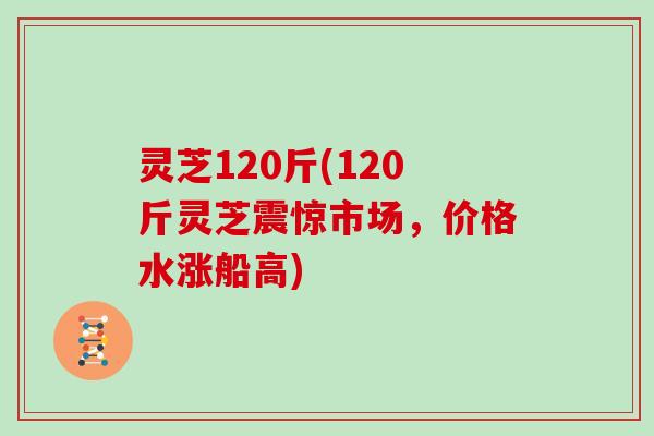 灵芝120斤(120斤灵芝震惊市场，价格水涨船高)