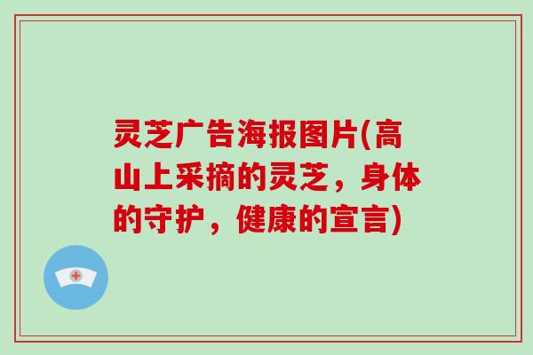 灵芝广告海报图片(高山上采摘的灵芝,身体的守护,健康的宣言) 灵芝广告海报图片(高山上采摘的灵芝,身体的守护,健康的宣言)