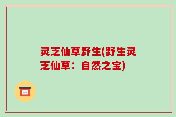 灵芝仙草野生(野生灵芝仙草：自然之宝)