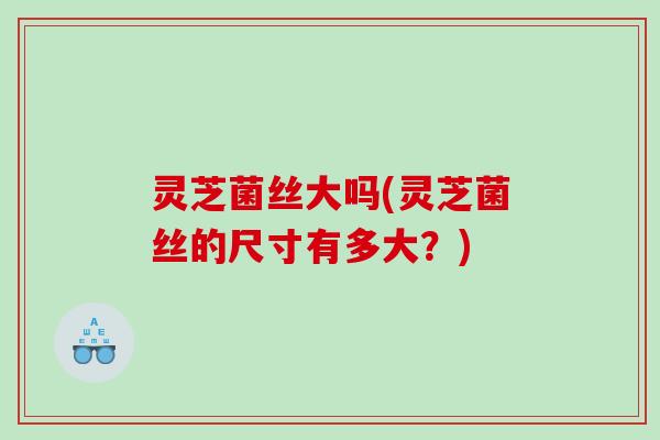 灵芝菌丝大吗(灵芝菌丝的尺寸有多大？)
