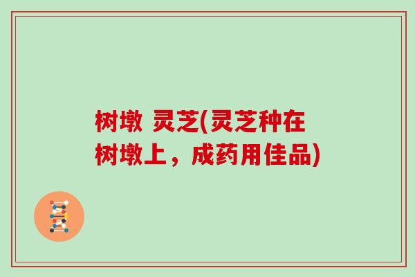 树墩 灵芝(灵芝种在树墩上，成药用佳品)