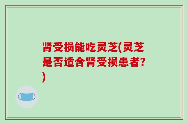 肾受损能吃灵芝(灵芝是否适合肾受损患者？)
