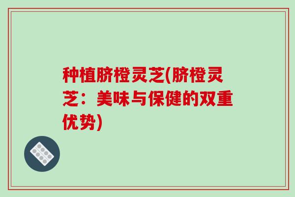 种植脐橙灵芝(脐橙灵芝：美味与保健的双重优势)