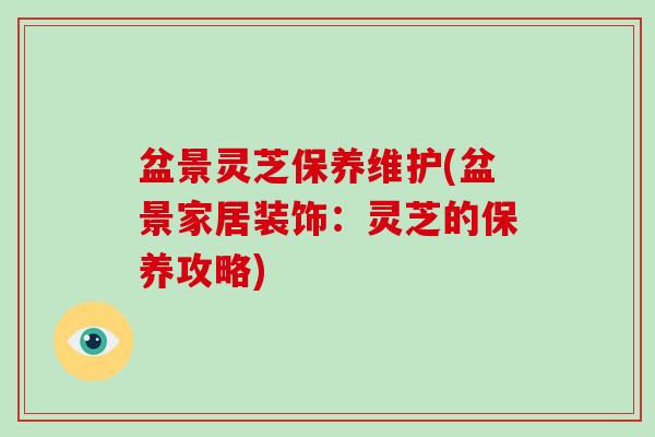 盆景灵芝保养维护(盆景家居装饰：灵芝的保养攻略)