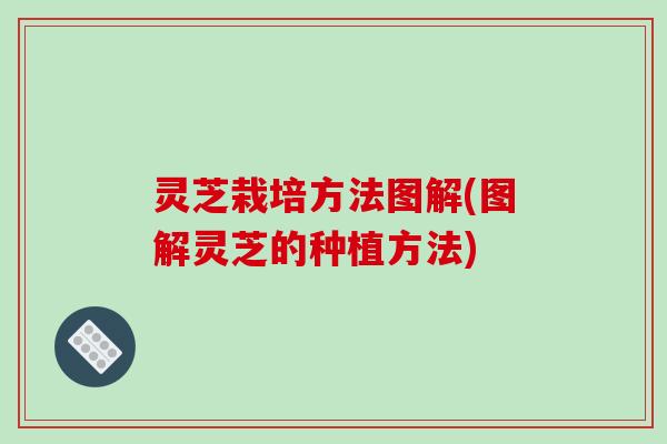 灵芝栽培方法图解(图解灵芝的种植方法)