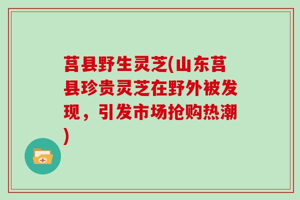 莒县野生灵芝(山东莒县珍贵灵芝在野外被发现，引发市场抢购热潮)