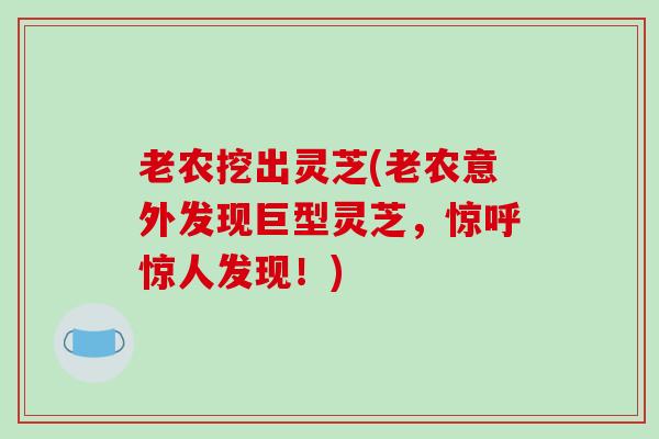 老农挖出灵芝(老农意外发现巨型灵芝，惊呼惊人发现！)