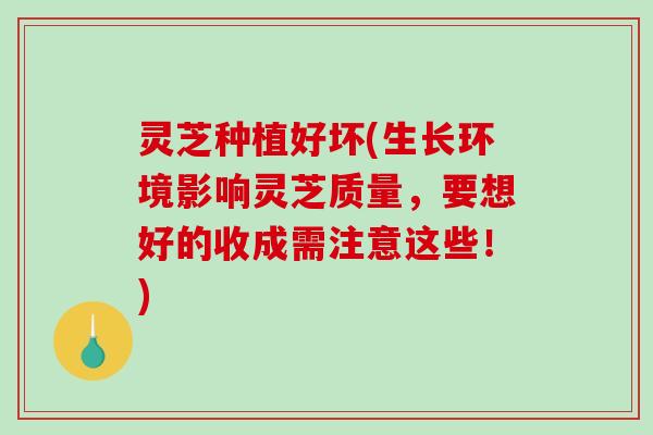 灵芝种植好坏(生长环境影响灵芝质量，要想好的收成需注意这些！)
