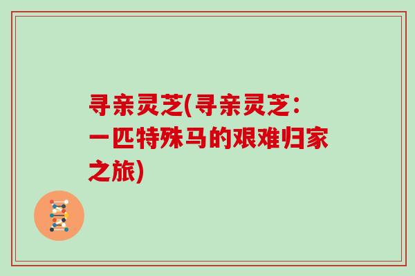 寻亲灵芝(寻亲灵芝：一匹特殊马的艰难归家之旅)