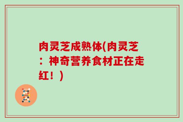 肉灵芝成熟体(肉灵芝：神奇营养食材正在走红！)