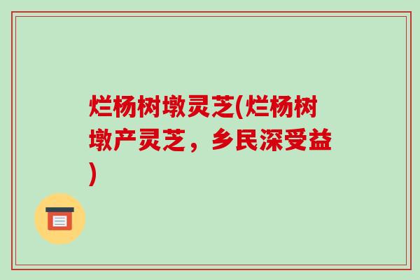 烂杨树墩灵芝(烂杨树墩产灵芝，乡民深受益)