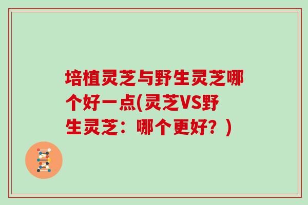培植灵芝与野生灵芝哪个好一点(灵芝VS野生灵芝：哪个更好？)