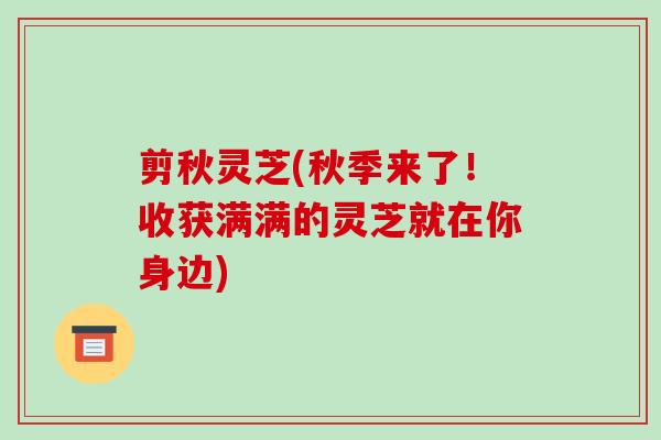 剪秋灵芝(秋季来了！收获满满的灵芝就在你身边)