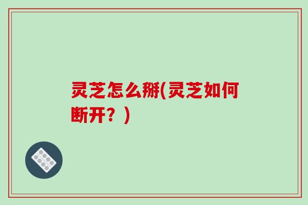 灵芝怎么掰(灵芝如何断开?) 灵芝怎么掰(灵芝如何断开?)