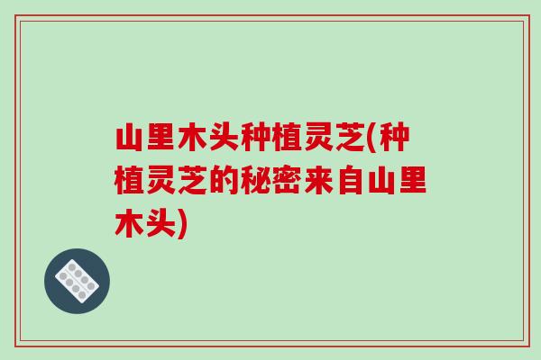 山里木头种植灵芝(种植灵芝的秘密来自山里木头)