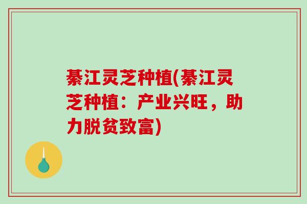 綦江灵芝种植(綦江灵芝种植：产业兴旺，助力脱贫致富)