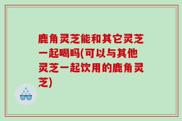 鹿角灵芝能和其它灵芝一起喝吗(可以与其他灵芝一起饮用的鹿角灵芝)