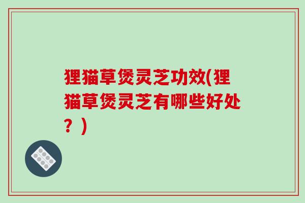 狸猫草煲灵芝功效(狸猫草煲灵芝有哪些好处?) 狸猫草煲灵芝功效(狸猫草煲灵芝有哪些好处?)
