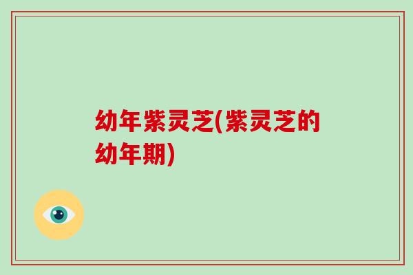 幼年紫灵芝(紫灵芝的幼年期) 幼年紫灵芝(紫灵芝的幼年期)
