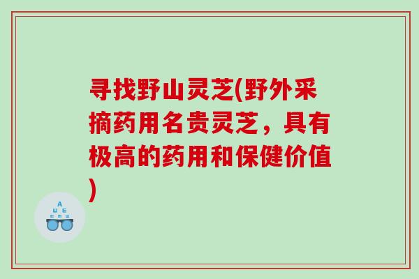 寻找野山灵芝(野外采摘药用名贵灵芝，具有极高的药用和保健价值)