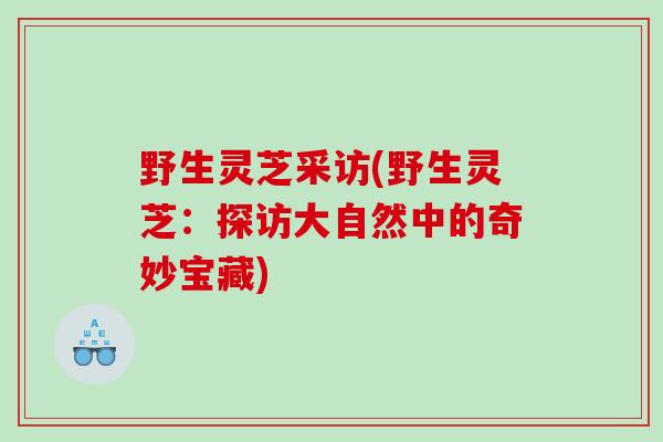 野生灵芝采访(野生灵芝:探访大自然中的奇妙宝藏) 野生灵芝采访(野生灵芝:探访大自然中的奇妙宝藏)