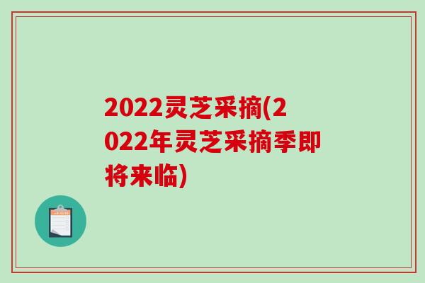 2022灵芝采摘(2022年灵芝采摘季即将来临) 2022灵芝采摘(2022年灵芝采摘季即将来临)