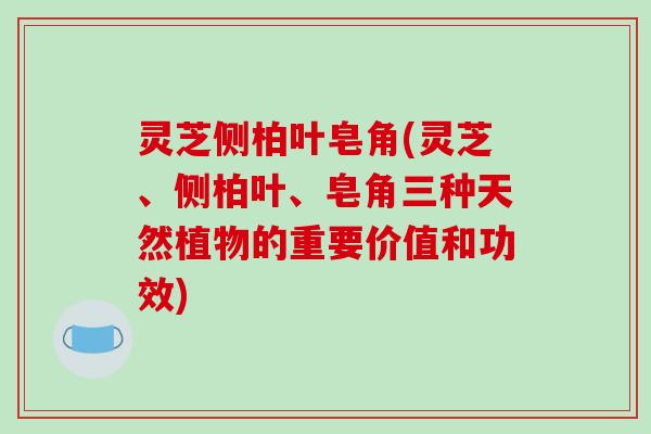 灵芝侧柏叶皂角(灵芝、侧柏叶、皂角三种天然植物的重要价值和功效)