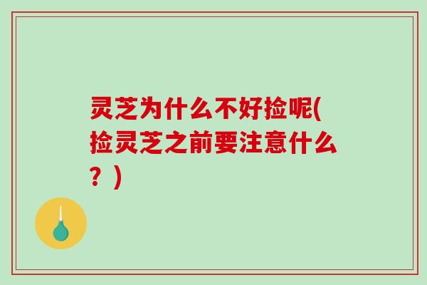 灵芝为什么不好捡呢(捡灵芝之前要注意什么?) 灵芝为什么不好捡呢(捡灵芝之前要注意什么?)