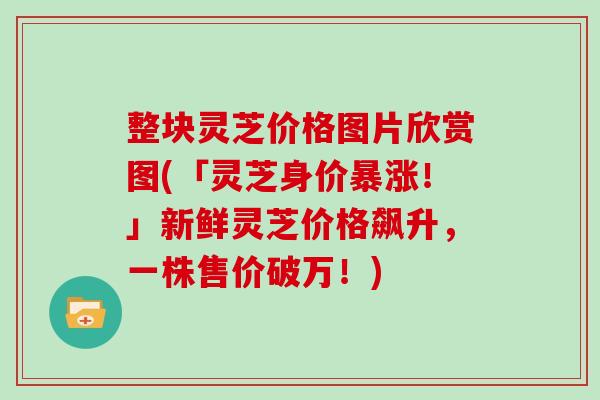 整块灵芝价格图片欣赏图(「灵芝身价暴涨！」新鲜灵芝价格飙升，一株售价破万！)