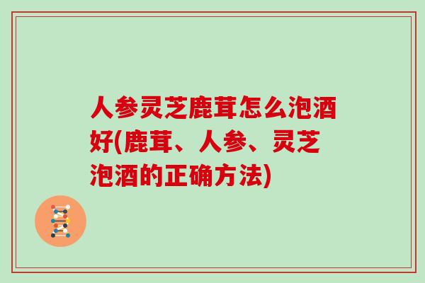 人参灵芝鹿茸怎么泡酒好(鹿茸、人参、灵芝泡酒的正确方法)