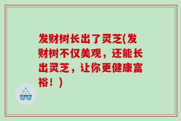 发财树长出了灵芝(发财树不仅美观,还能长出灵芝,让你更健康富裕!) 发财树长出了灵芝(发财树不仅美观,还能长出灵芝,让你更健康富裕!)