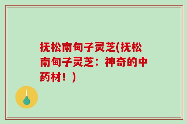 抚松南甸子灵芝(抚松南甸子灵芝：神奇的材！)