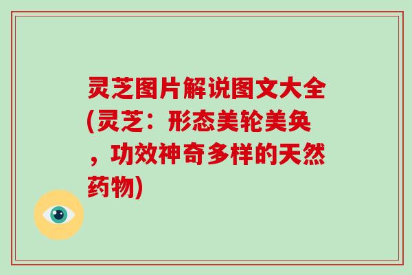 灵芝图片解说图文大全(灵芝：形态美轮美奂，功效神奇多样的天然)