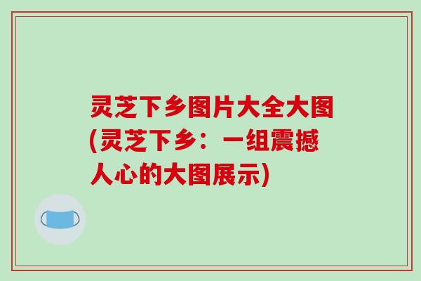 灵芝下乡图片大全大图(灵芝下乡：一组震撼人心的大图展示)