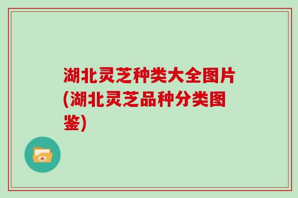 湖北灵芝种类大全图片(湖北灵芝品种分类图鉴) 湖北灵芝种类大全图片(湖北灵芝品种分类图鉴)