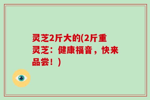 灵芝2斤大的(2斤重灵芝：健康福音，快来品尝！)