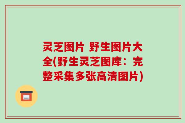 灵芝图片 野生图片大全(野生灵芝图库:完整采集多张高清图片) 灵芝图片 野生图片大全(野生灵芝图库:完整采集多张高清图片)
