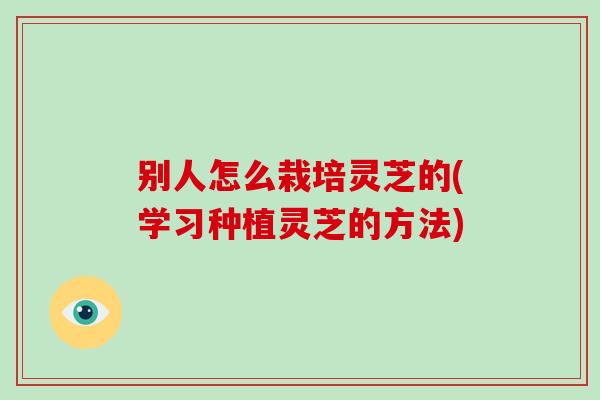 别人怎么栽培灵芝的(学习种植灵芝的方法) 别人怎么栽培灵芝的(学习种植灵芝的方法)