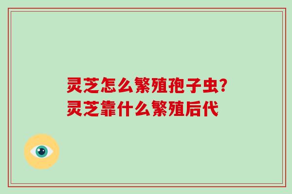 灵芝怎么繁殖孢子虫?灵芝靠什么繁殖后代 灵芝怎么繁殖孢子虫?灵芝靠什么繁殖后代