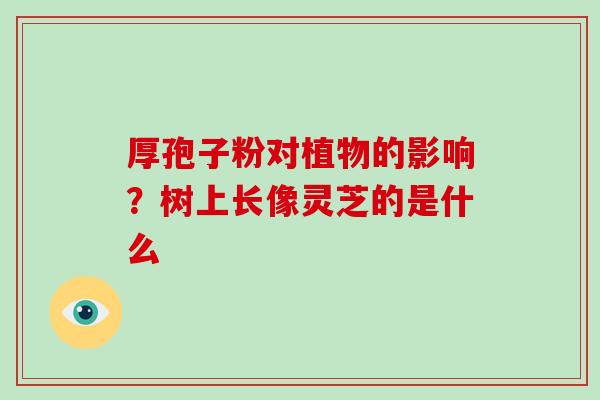 厚孢子粉对植物的影响?树上长像灵芝的是什么 厚孢子粉对植物的影响?树上长像灵芝的是什么